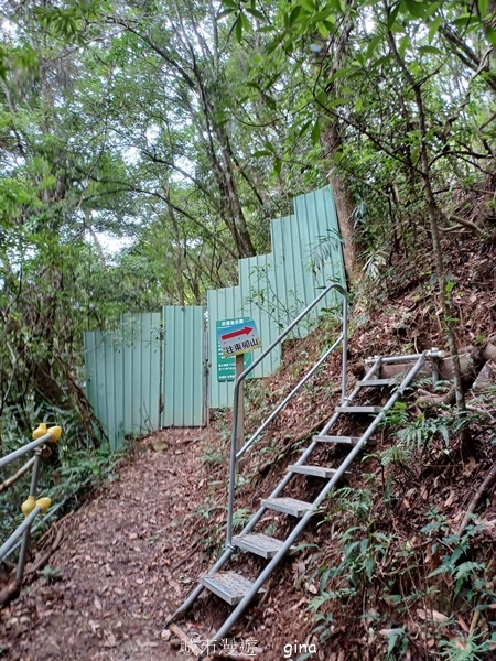 【台中和平】台灣百大必訪步道~谷關七雄-東卯山步道 【台中和平】台灣百大必訪步道~谷關七雄-東卯山步道