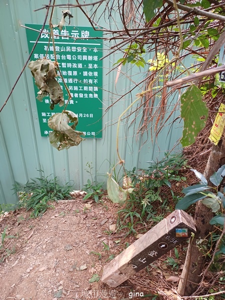 【台中和平】台灣百大必訪步道~谷關七雄-東卯山步道 【台中和平】台灣百大必訪步道~谷關七雄-東卯山步道