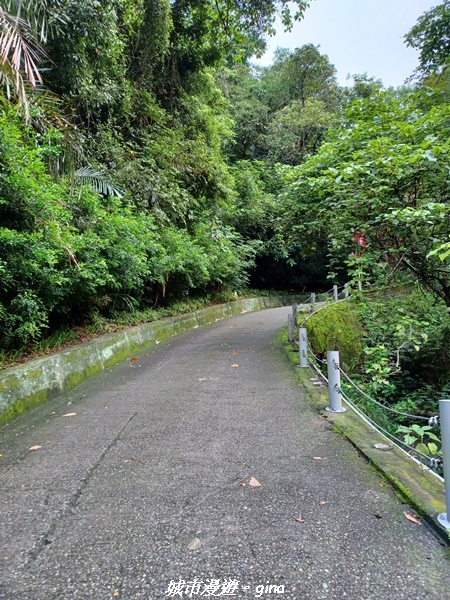 【台中潭子】新田登山步道x聚興山