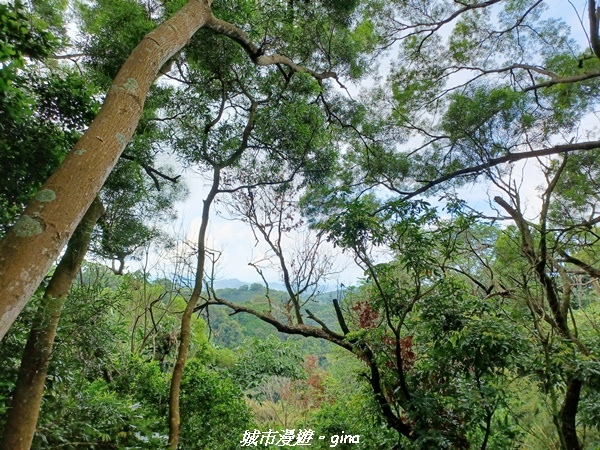 【台中潭子】新田登山步道x聚興山