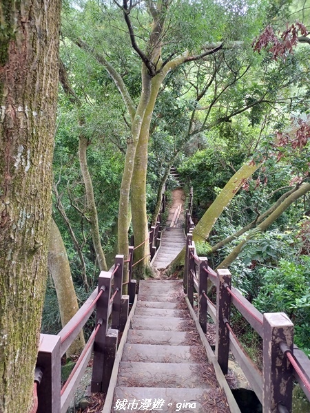 【台中潭子】新田登山步道x聚興山