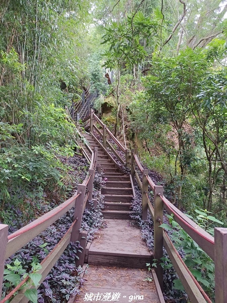 【台中潭子】新田登山步道x聚興山