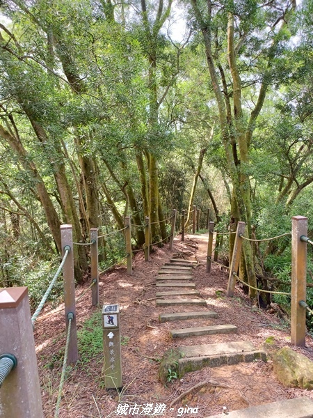 【台中潭子】新田登山步道x聚興山