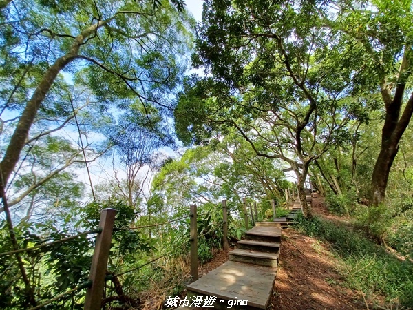 【台中潭子】新田登山步道x聚興山