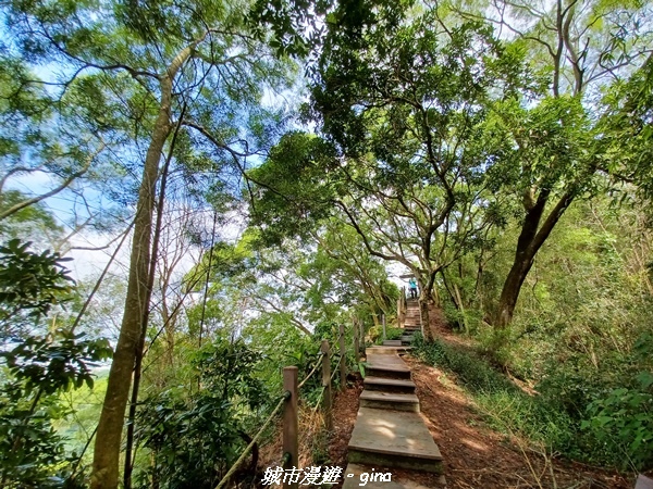 【台中潭子】新田登山步道x聚興山