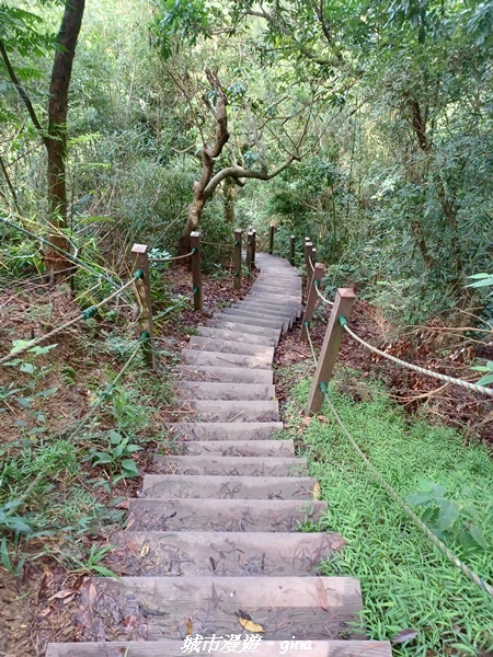 【台中潭子】新田登山步道x聚興山