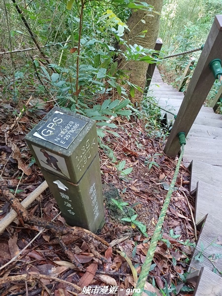 【台中潭子】新田登山步道x聚興山