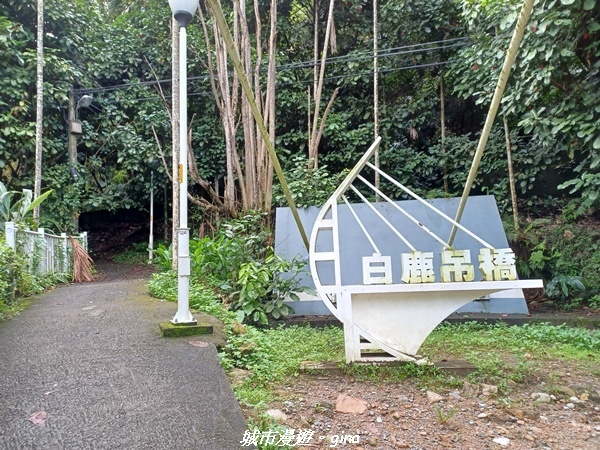 【台中和平】谷關七雄~白毛山步道~
