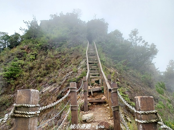 【台中和平】谷關七雄~白毛山步道~