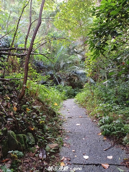 【台中和平】谷關七雄~白毛山步道~