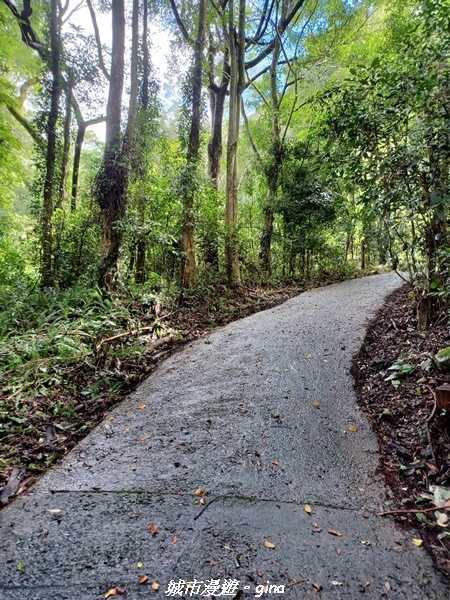 【台中和平】谷關七雄~白毛山步道~