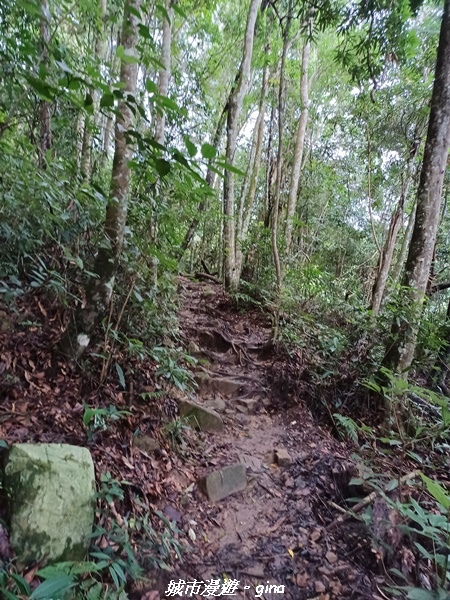 【台中和平】谷關七雄~白毛山步道~