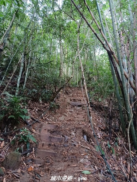 【台中和平】谷關七雄~白毛山步道~