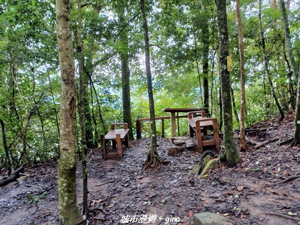 【台中和平】谷關七雄~白毛山步道~