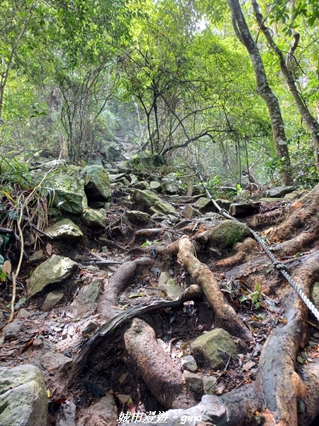 【台中和平】谷關七雄~白毛山步道~