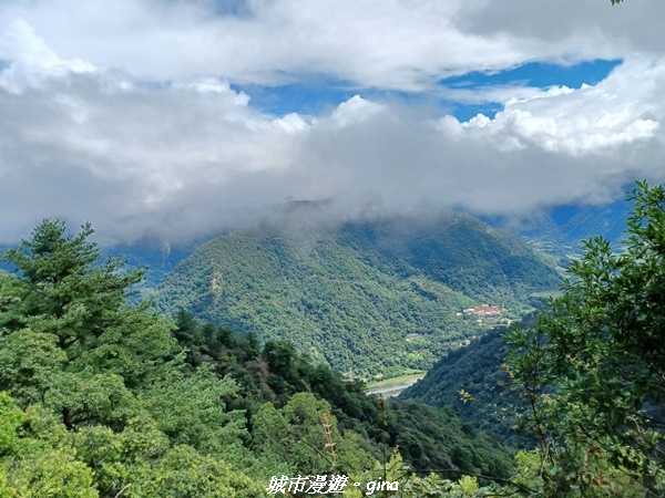 【台中和平】谷關七雄~白毛山步道~