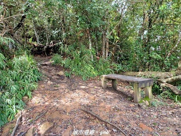 【台中和平】谷關七雄~白毛山步道~