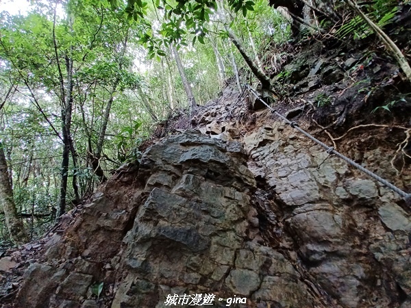 【台中和平】谷關七雄~白毛山步道~