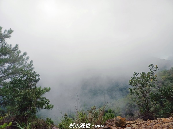 【台中和平】谷關七雄~白毛山步道~