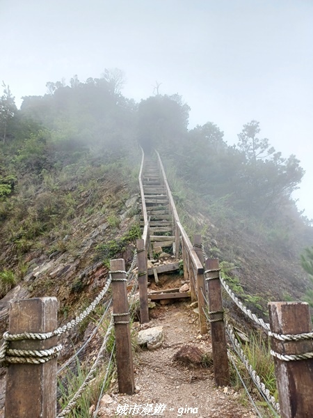 【台中和平】谷關七雄~白毛山步道~