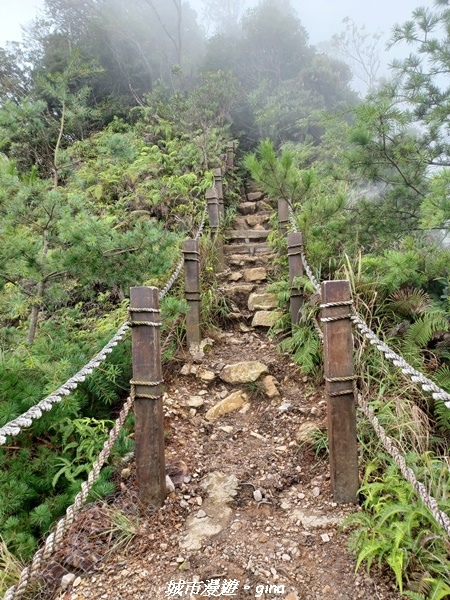 【台中和平】谷關七雄~白毛山步道~
