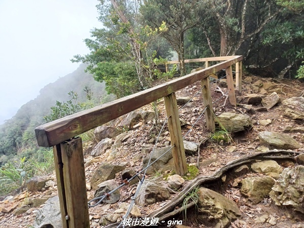 【台中和平】谷關七雄~白毛山步道~