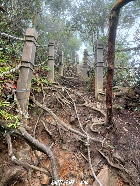 【台中和平】谷關七雄~白毛山步道~