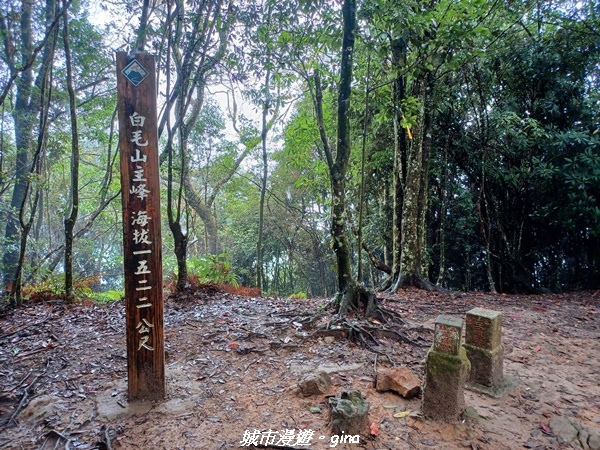 【台中和平】谷關七雄~白毛山步道~