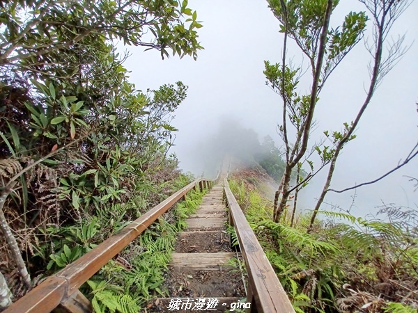 【台中和平】谷關七雄~白毛山步道~