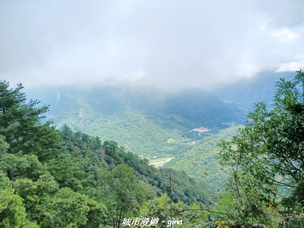 【台中和平】谷關七雄~白毛山步道~
