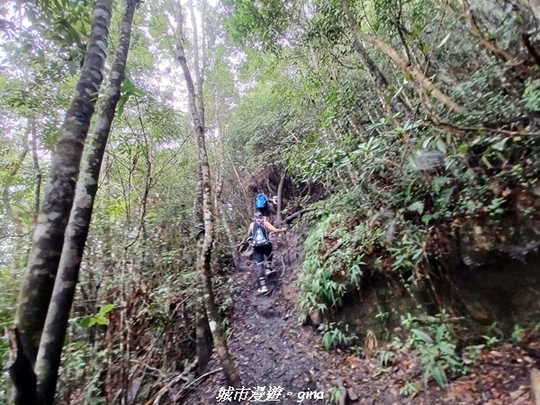 【台中和平】谷關七雄~白毛山步道~