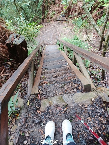【台中和平】谷關七雄~白毛山步道~