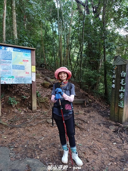 【台中和平】谷關七雄~白毛山步道~