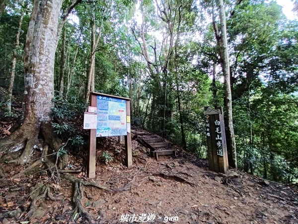 【台中和平】谷關七雄~白毛山步道~