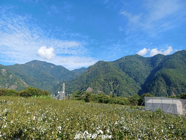 【台中和平】谷關七雄~馬崙山步道