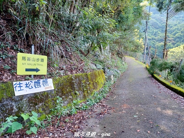 【台中和平】谷關七雄~馬崙山步道