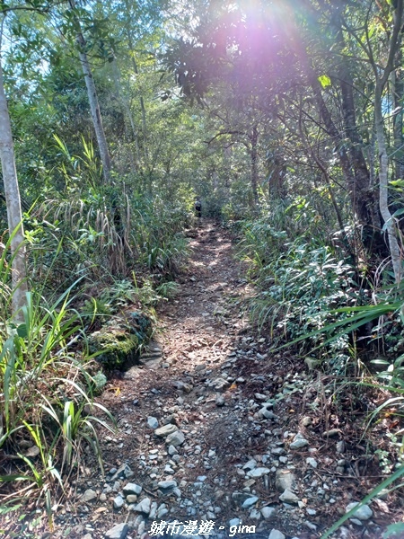 【台中和平】谷關七雄~馬崙山步道