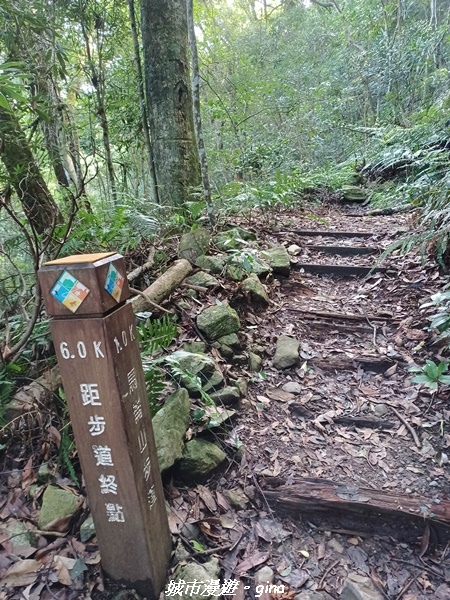 【台中和平】谷關七雄~馬崙山步道