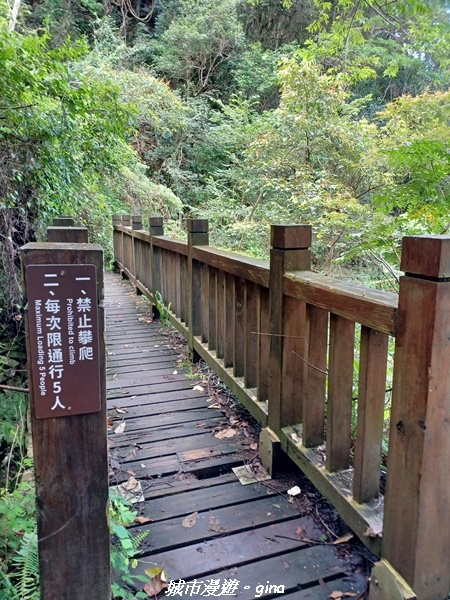 【台中和平】谷關七雄~馬崙山步道