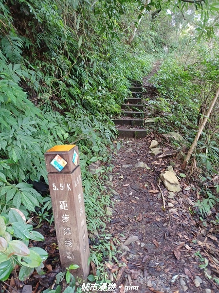 【台中和平】谷關七雄~馬崙山步道