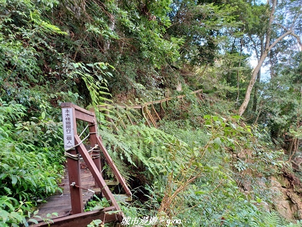 【台中和平】谷關七雄~馬崙山步道