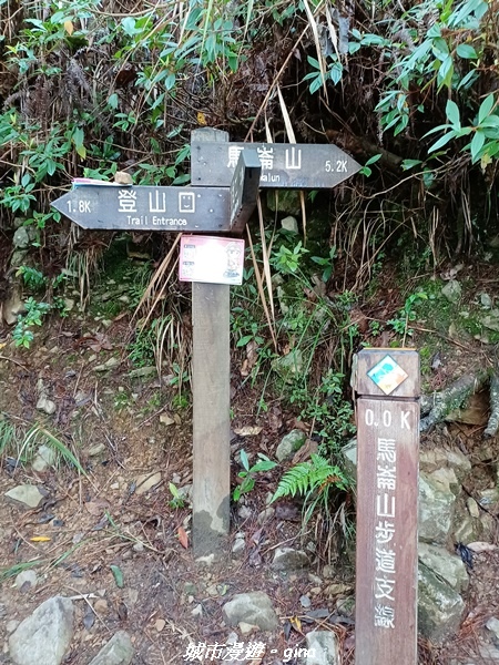 【台中和平】谷關七雄~馬崙山步道