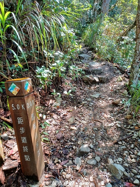 【台中和平】谷關七雄~馬崙山步道