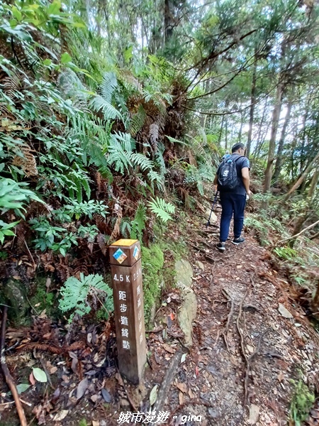 【台中和平】谷關七雄~馬崙山步道