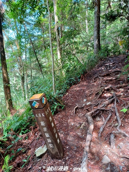 【台中和平】谷關七雄~馬崙山步道