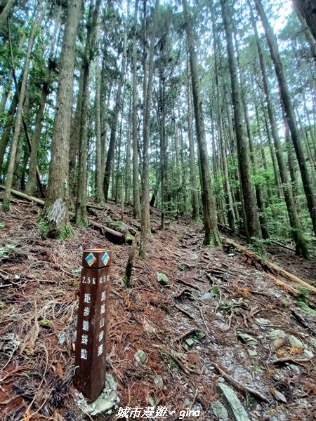 【台中和平】谷關七雄~馬崙山步道