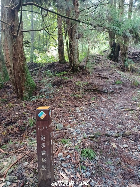 【台中和平】谷關七雄~馬崙山步道