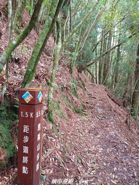 【台中和平】谷關七雄~馬崙山步道