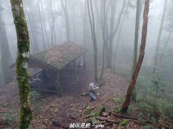 【台中和平】谷關七雄~馬崙山步道