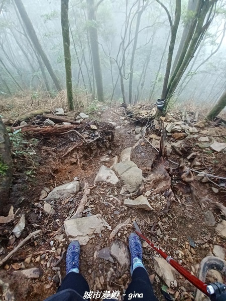 【台中和平】谷關七雄~馬崙山步道